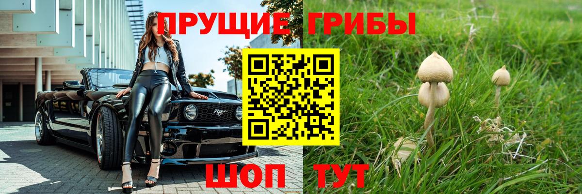 Галлюциногенные грибы мицелий Сосновый Бор
